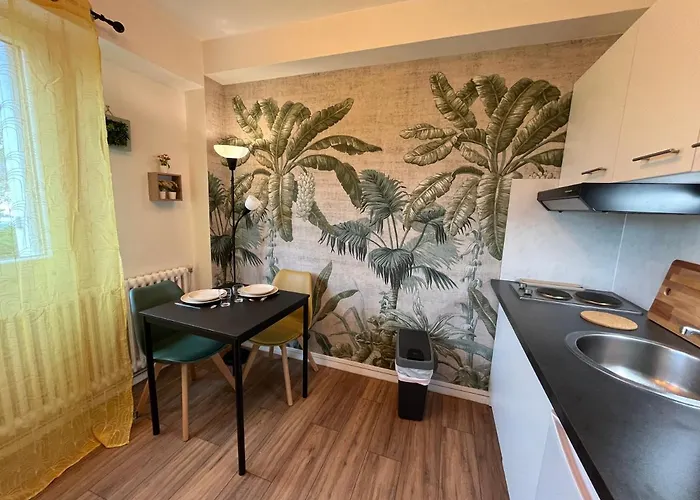 Amazonite, Proche Centre De Stationnement A Proximite Apartament Caen